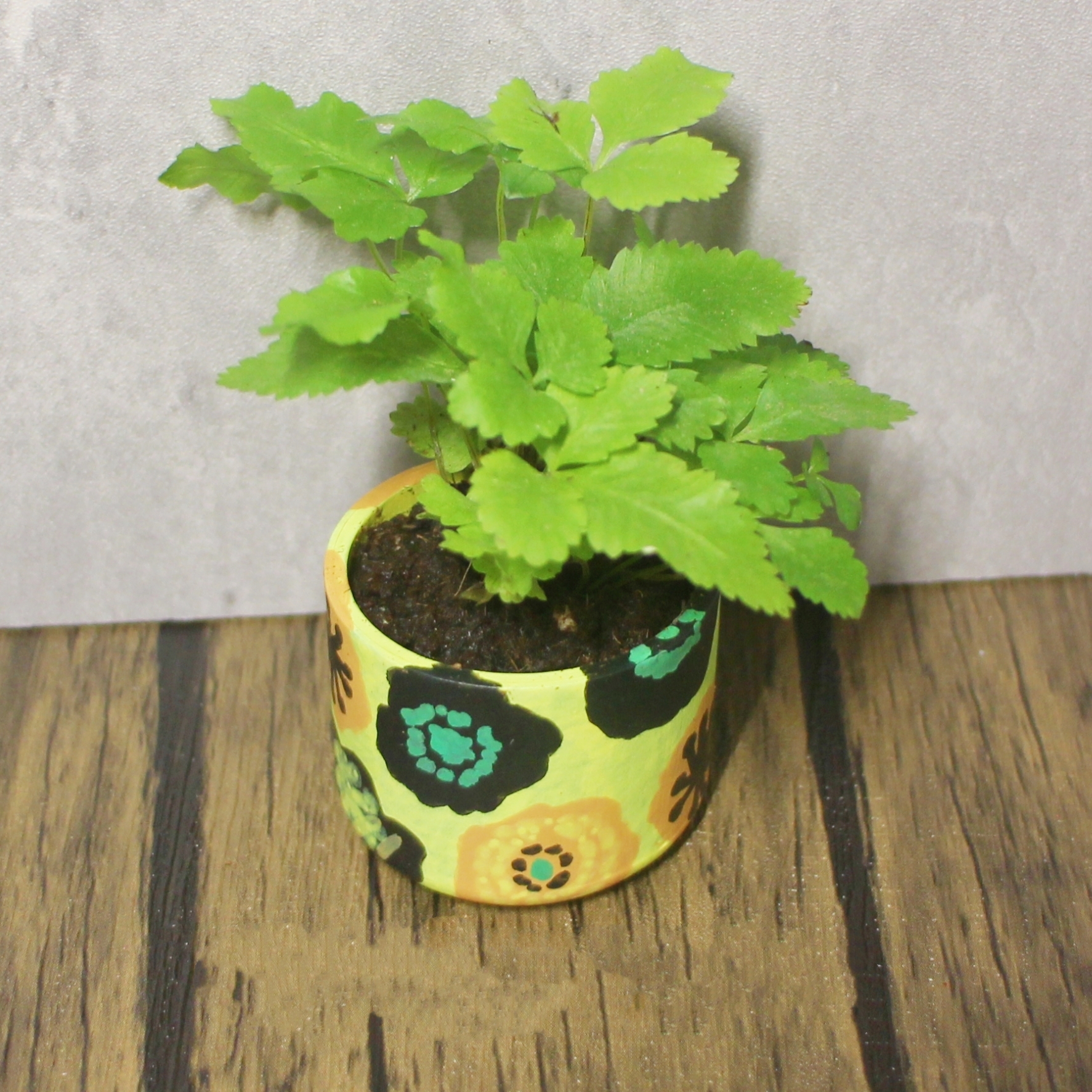 Plant Pots 1pc - Image 17