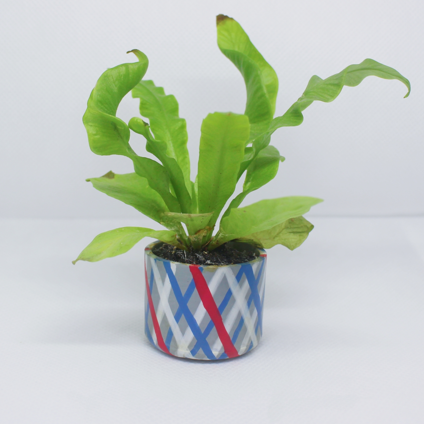 Plant Pots 1pc - Image 21