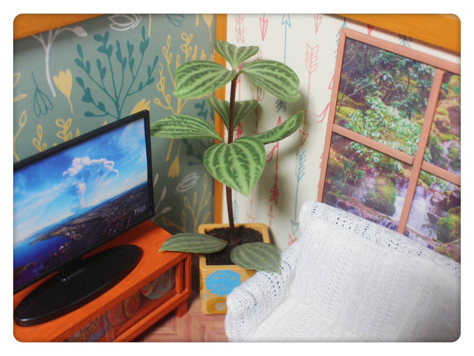 Plant Pots 1pc - Image 12